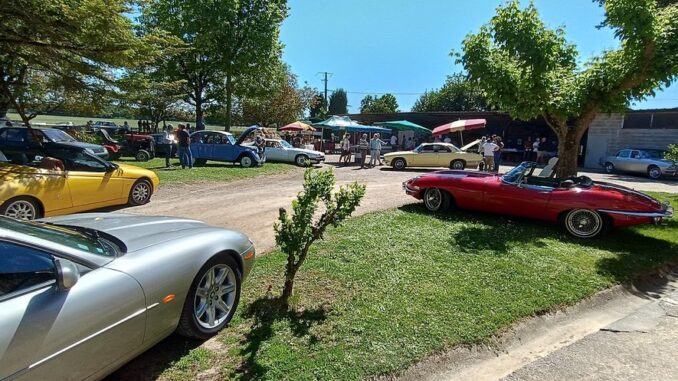 Les Jaguars de Factory Motor ont fait leur show