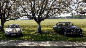 GPTO Days 2025 (03)